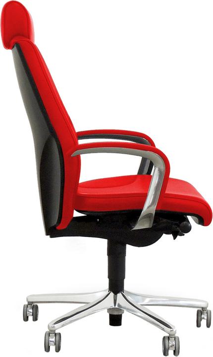 Actual product image Giroflex 64-9778