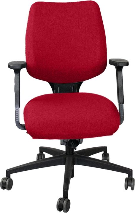 Giroflex 545-4529