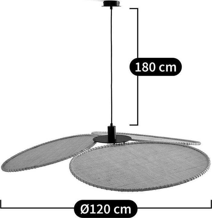 Image du produit AM.PM Canopee (E27)