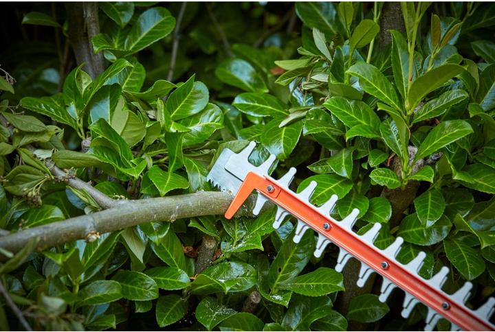 Actual product image Black & Decker Battery hedge trimmer BCHTS36B Solo (Cordless hedgecutters)