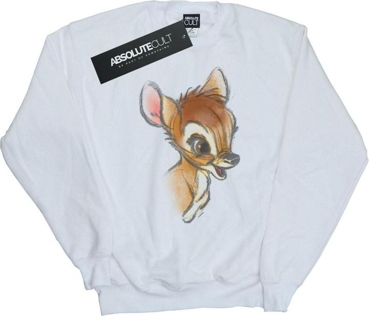 Actual product image Disney Boys Bambi Drawing Sweatshirt (152, 158)