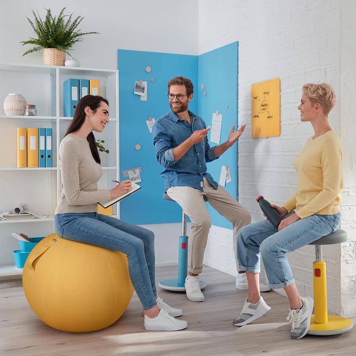 Actual product image Leitz Ergo Cosy Active sitting ball (65 cm)