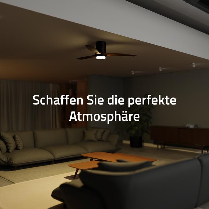 Immagine prodotto Hombli Deckenventilator mit Licht (43 dB)