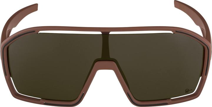 Image du produit ALPINA SPORTS Bonfire Q-Lite lunettes de sport (Marron, Bronze)