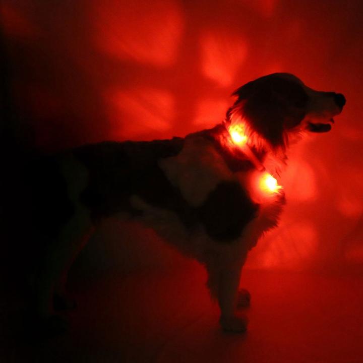 Immagine prodotto Leuchtie Più (45, Cane, Lavoro, Passeggiare)