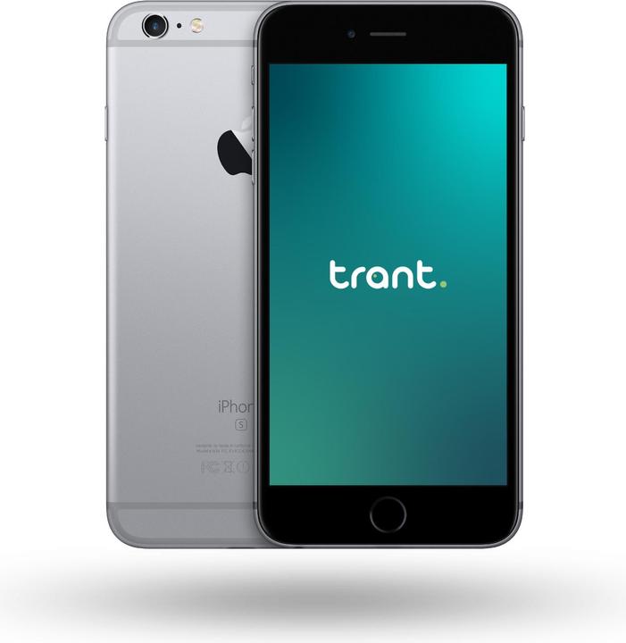 Actual product image Trant.ch iPhone 6S (32 GB, Space Grey, 4.70", 12 Mpx, Single SIM, A / Like new)
