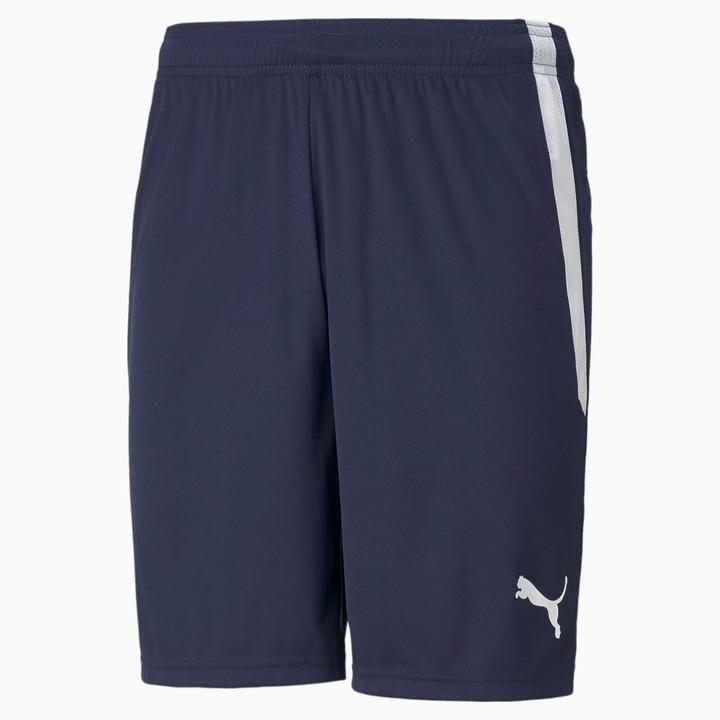 Actual product image Puma teamLIGA Shorts-704924 (M)