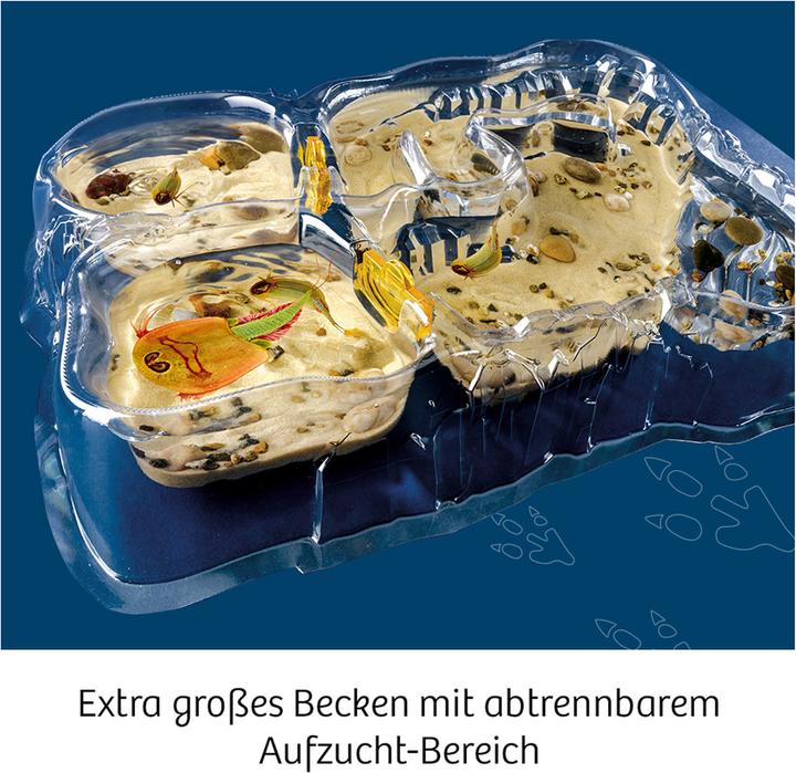 Actual product image Kosmos Triops World