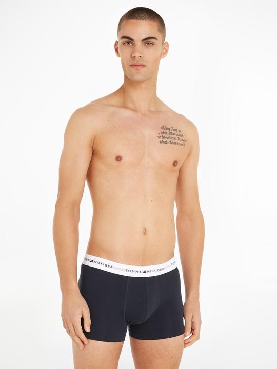 Actual product image Tommy Hilfiger Trunk (L, pack of 3)