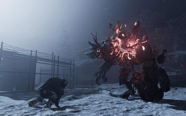 Produktbild THQ Fade to Silence (PS4, EN)
