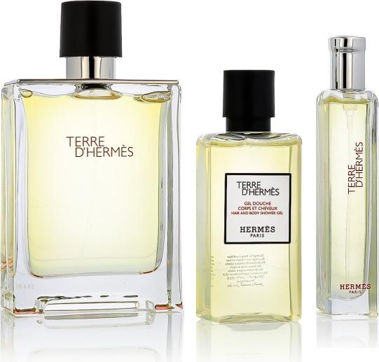 Hermès Hermes Terre D'Hermes Geschenkset - Enthält 100ml Edt Spray, 15ml Edt Spray und 40ml Duschgel (Parfum set)