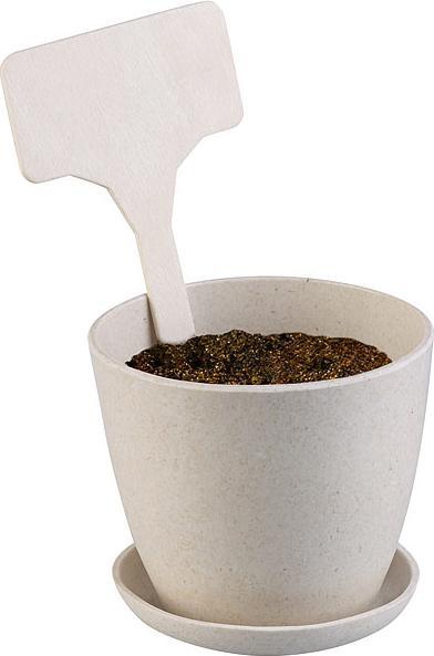 Actual product image Royal Gardineer Bonsai Grow Kit