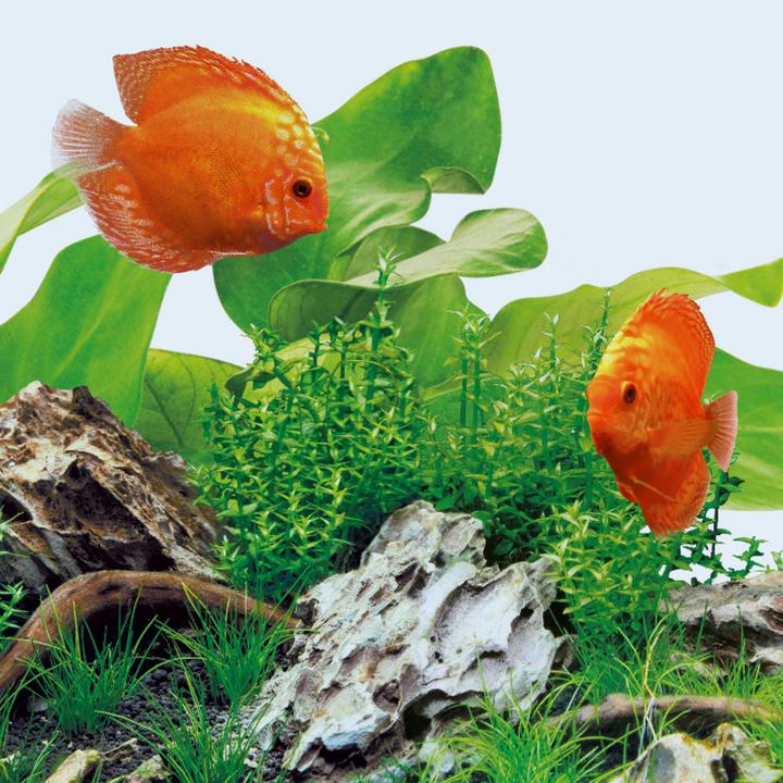 Produktbild Juwel Aquarium Day (LED, 12 W)