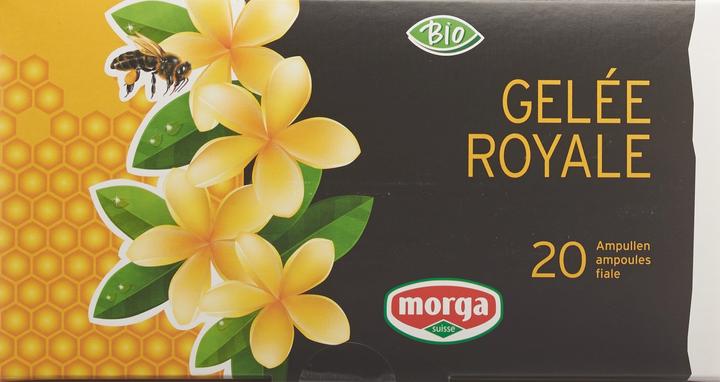 Actual product image Morga Royal jelly Trinkamp 1500 mg organic (1 Piece, Ampoule, 394 g)