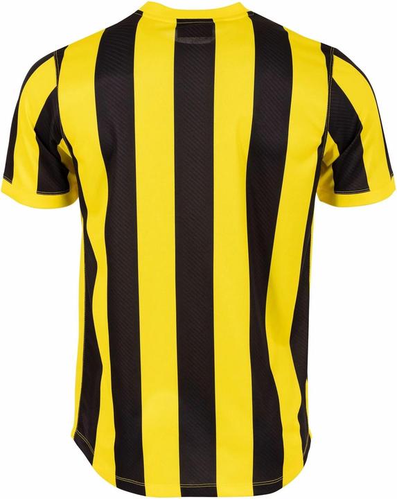 Image du produit Stanno Maillot Aspire (XL)
