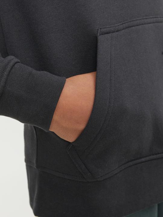 Image du produit Jack & Jones Sweat à capuche (164)