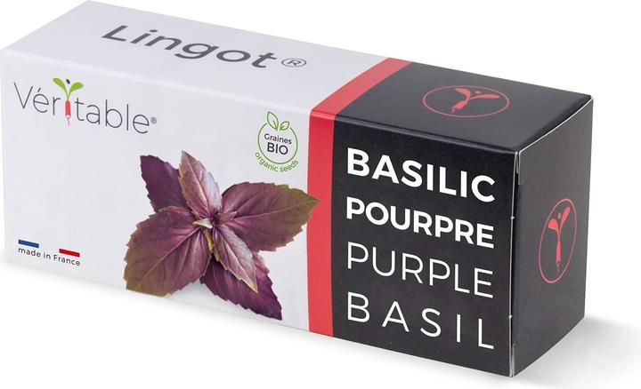 Véritable Lingot Purpur Basilikum BIO
