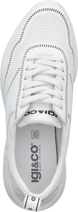 Image du produit Igi&co Sneaker (40)