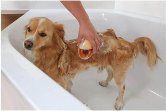Produktbild Kerbl Badebürste (Hund, Katze)