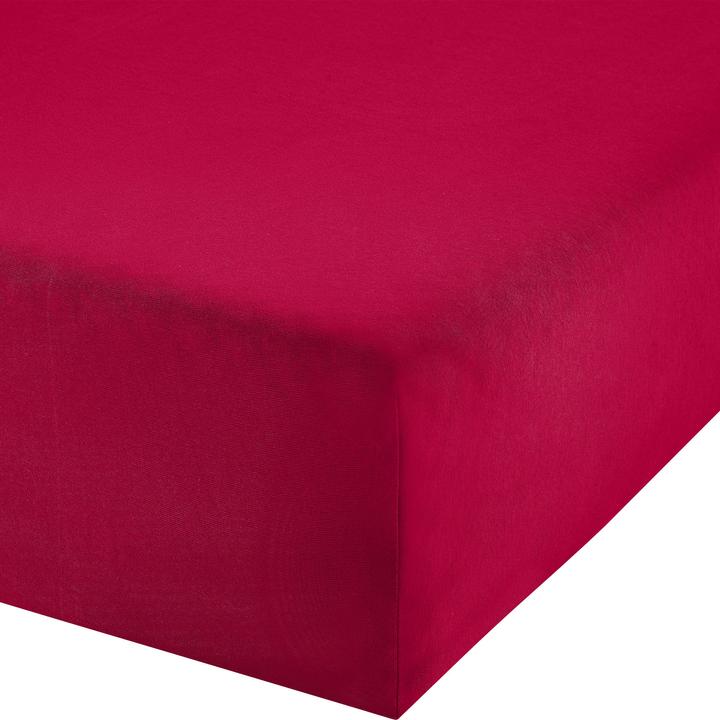 Rot