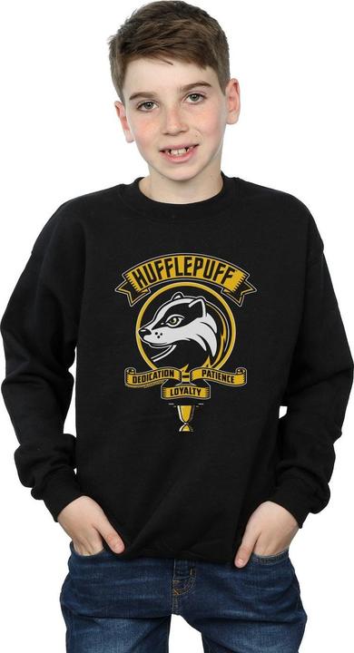 Image du produit - Sweat HUFFLEPUFF TOON CREST - Garçon (152, 158)