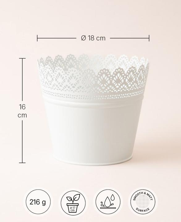 Image du produit Esmée Pot de fleurs, cache-pot avec pointes, tôle (18 cm)