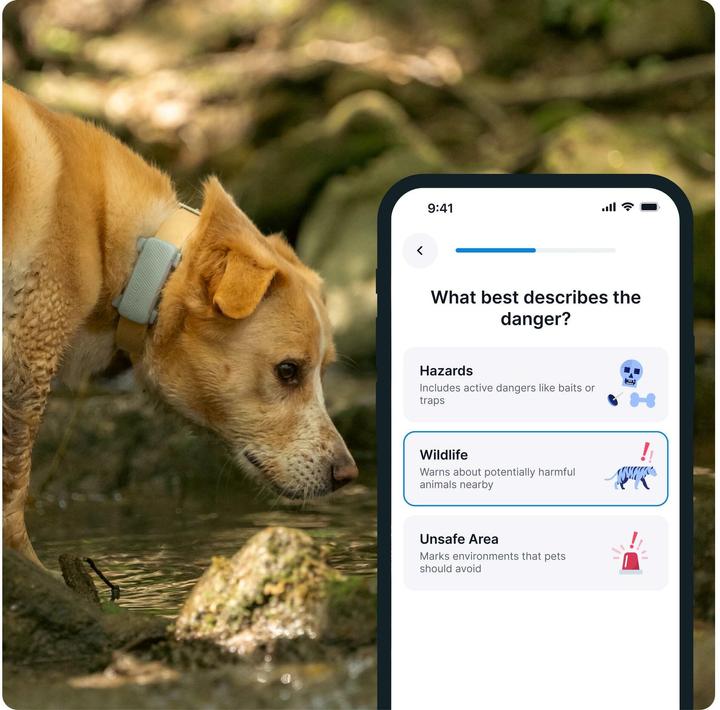 Image du produit Tractive GPS Tracker Dog 6 (Chien)