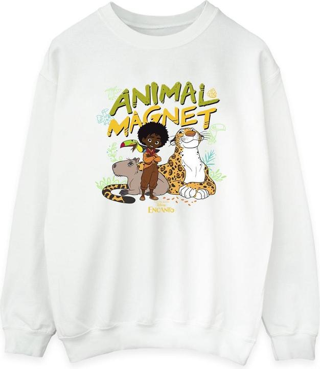 Disney Encanto Animal Magnet Sweatshirt (S)