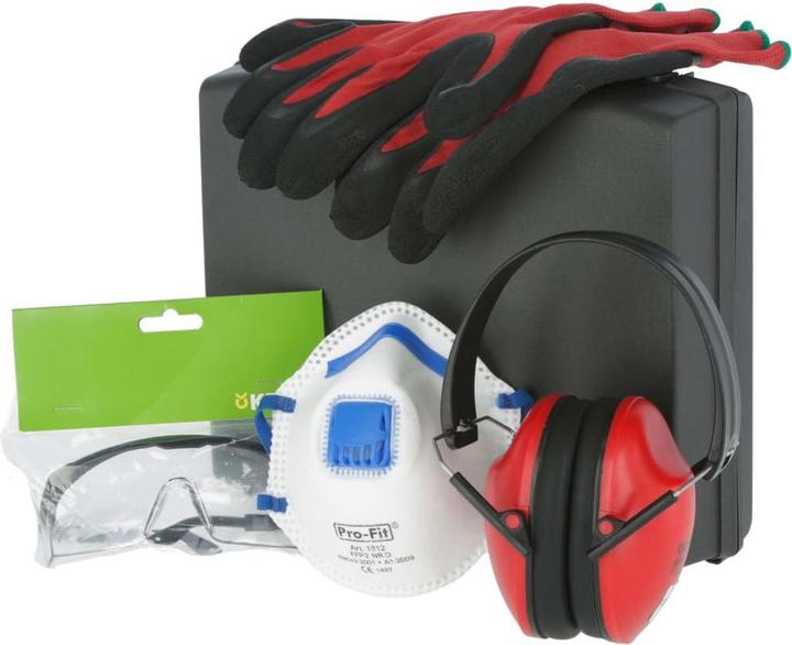 Image du produit Kerbl Kit EPI en mallette Lunettes, masque, gants, ouïe (FFP2, 4 x)