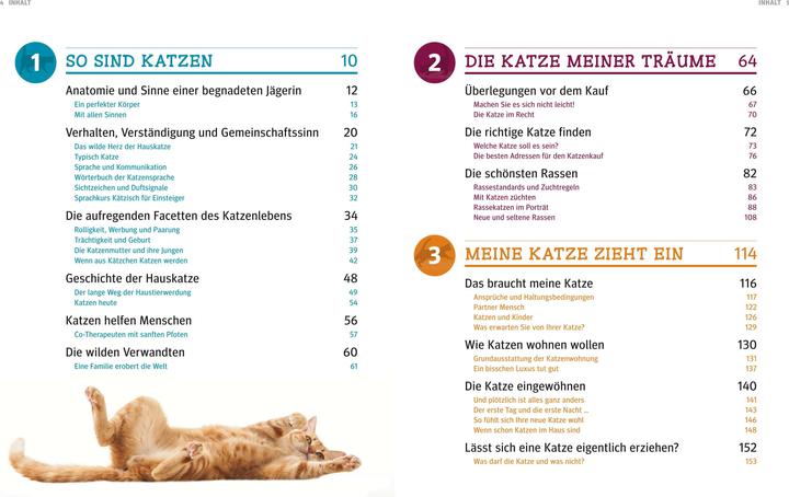 Image du produit Katzen (Allemand, Gerd Ludwig, 2013)