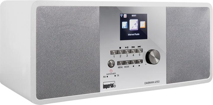 Imperial Dabman i250 (FM, Internetradio, DAB+, Bluetooth, WLAN)