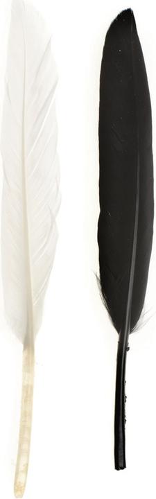 Actual product image Glorex Indian feather 13cm ca.15pcs black/white