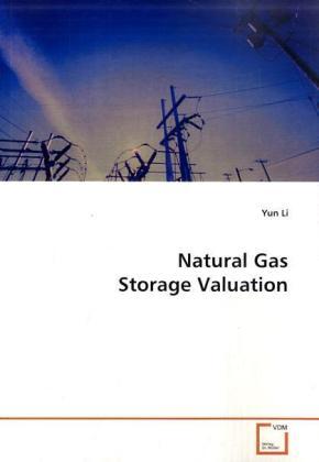 Produktbild Natural Gas Storage Valuation (Yun Li, 2009)