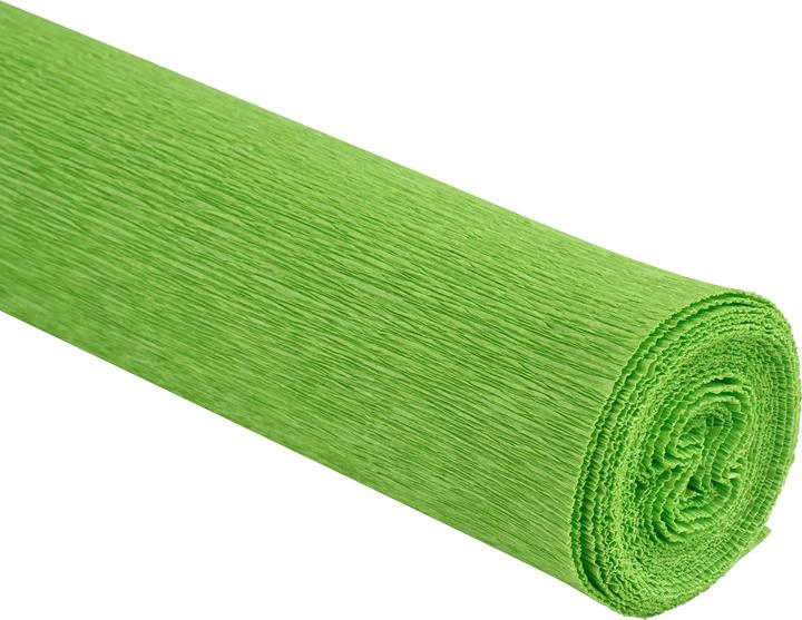 Immagine prodotto Werola Carta crespa per fioristi, 50 x 250 cm, 128 g/m², resistente ai colori (128 g/m², 1 x)