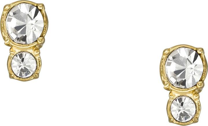 Actual product image Fossil Jewelry Stud Earrings (Stainless steel)