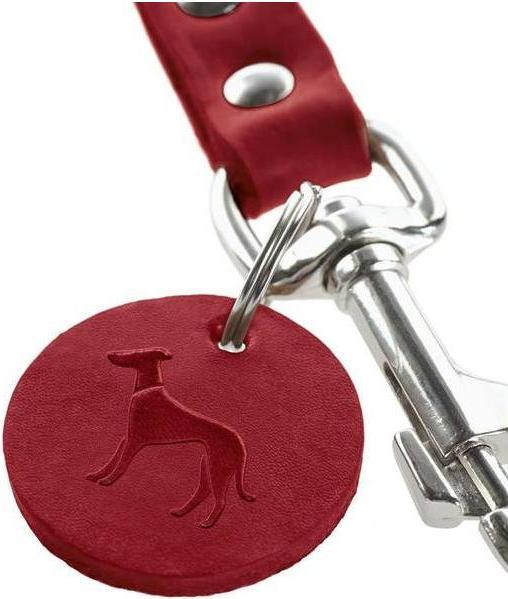 Image du produit Hunter Laisse éducative (100, Chien, Sport canin)