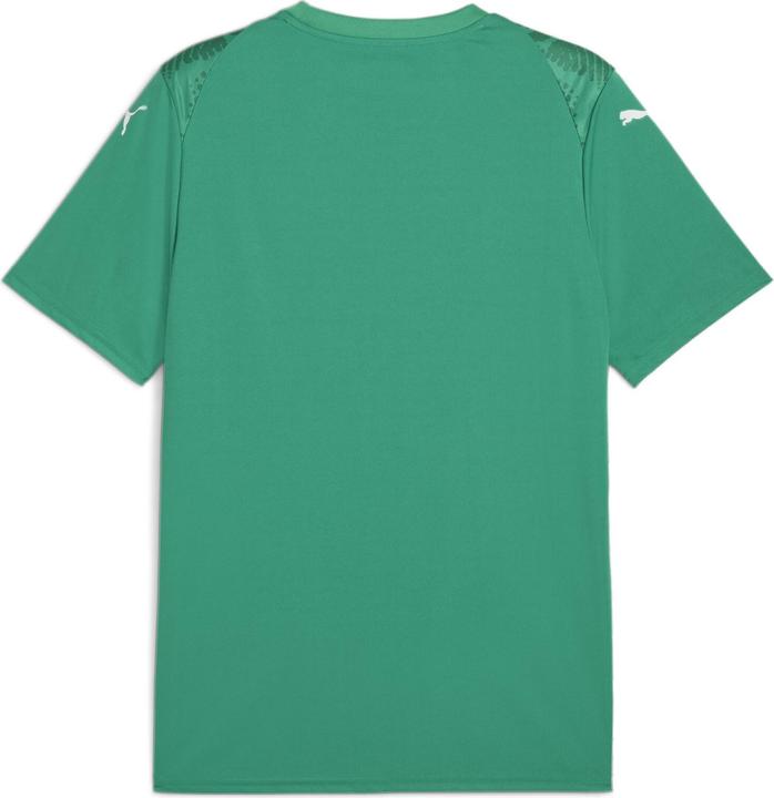 Actual product image Puma teamULTIMATE Jersey (XL)
