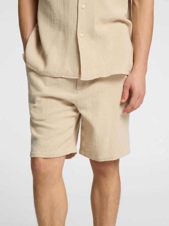 Actual product image Selected Homme Gestreifte Shorts (L)