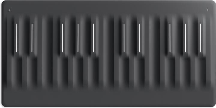 Roli Seaboard Block Studio Edition (Keyboards)