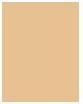 Produktbild Bourjois 123 Perfect (52 Vanilla)