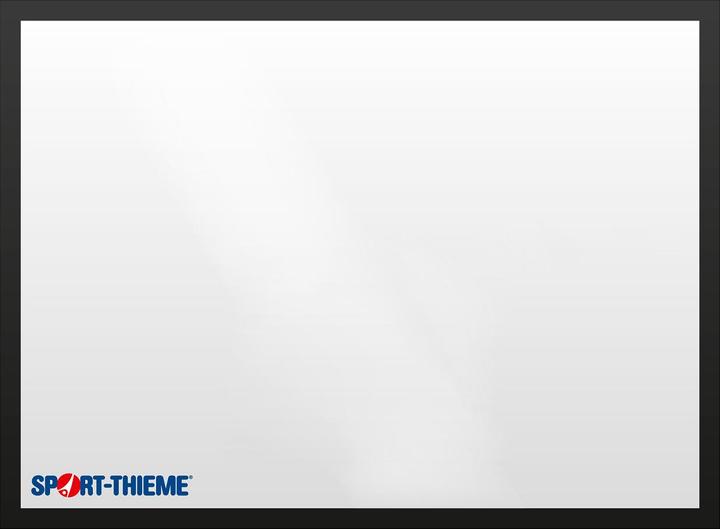 Actual product image Sport-Thieme Multiplex basketball target board