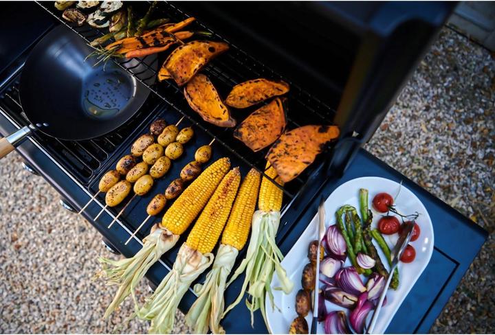 Image du produit Campingaz Select 3 L Plus (9 kW)