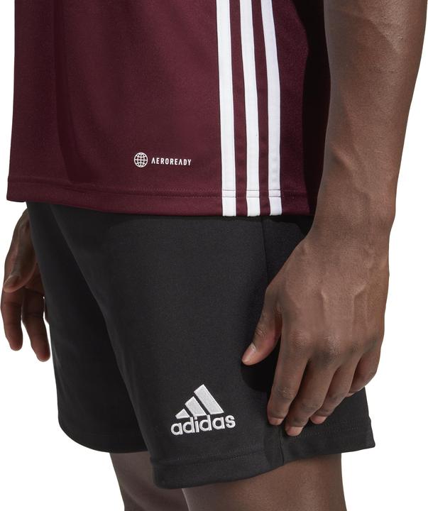 Produktbild adidas Herren Tabelle 23 Trikot Burgund IB4928 (XL) (XL)