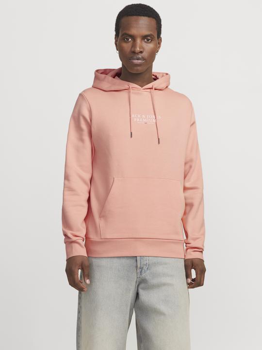Produktbild Jack & Jones Logo Kapuzenpullover Kapuzenpullover (XXL)