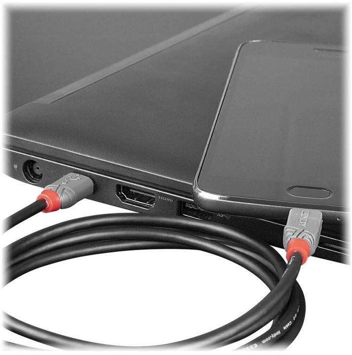 Produktbild Lindy Anthra Line (0.50 m, USB 2.0)