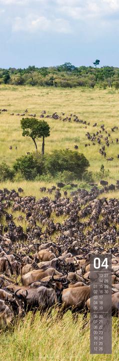 Image du produit Afrika Vertikal Kalender 2026 (33 x 100 cm, Espagnol, Français, Allemand, Anglais)