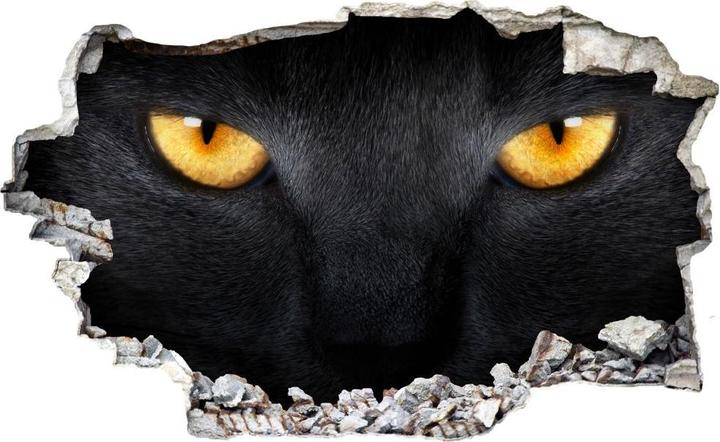 Immagine prodotto Trenddeko occhi di gatto 3D (36 x 60 cm)