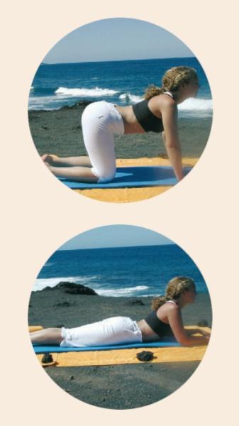 Actual product image Yoga for beginners (DVD, 2003, German)