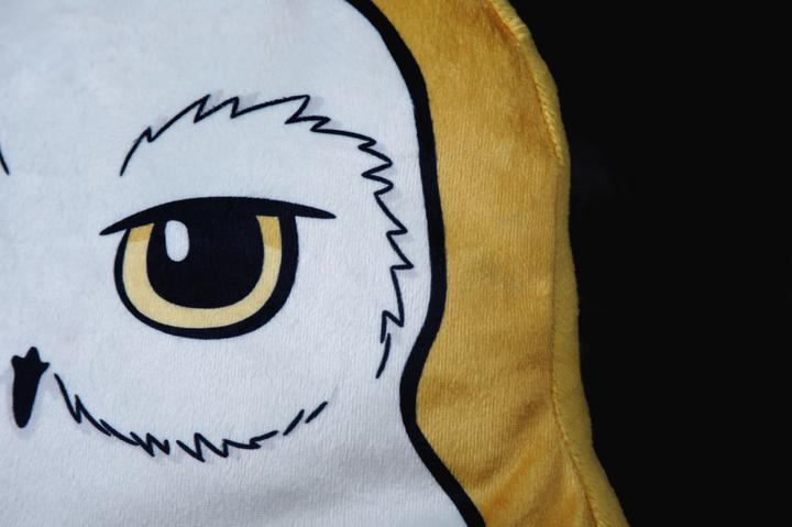 Image du produit Herding Harry Potter "Hibou" coussin de contour (3 x 30 x 40 cm)