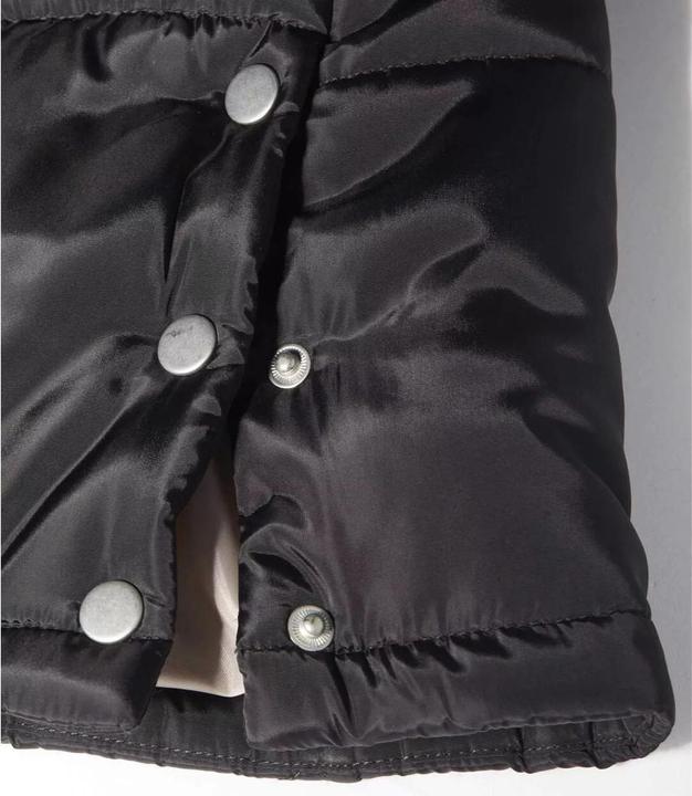 Actual product image Atlas For Women Womens/Ladies Water Repellent Padded Jacket (W38/L40)